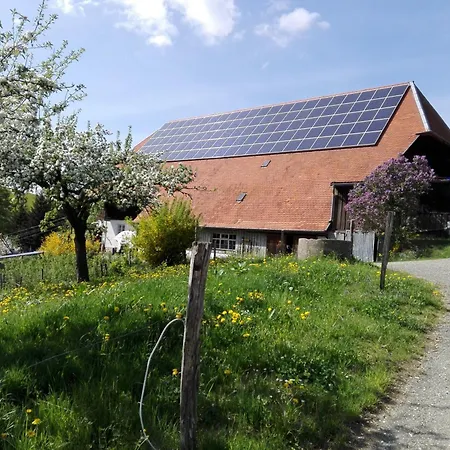Panorama Stadtblick Zimmerthaisenhof Apartamento Horben